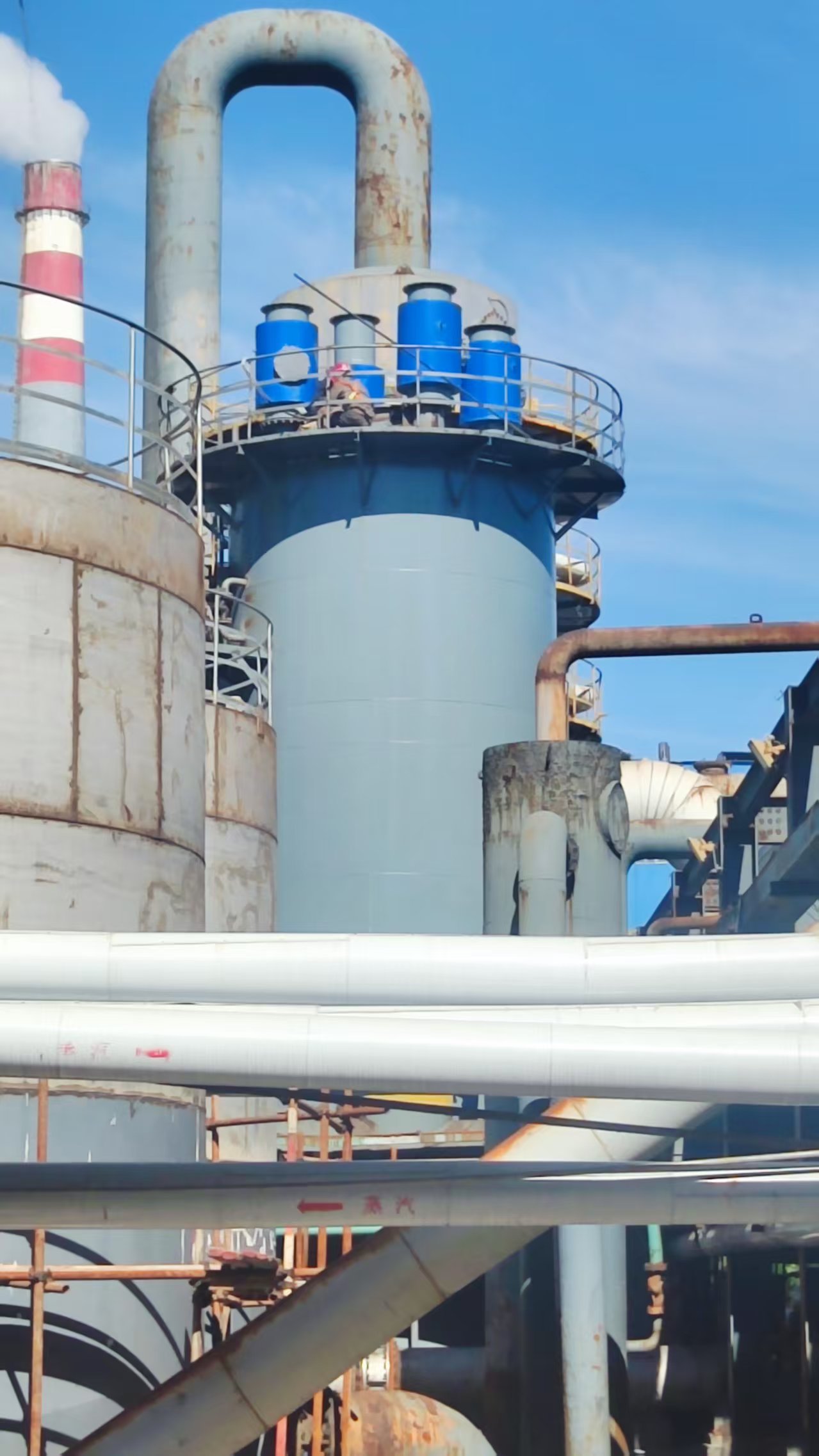 内蒙古阜丰生物科技